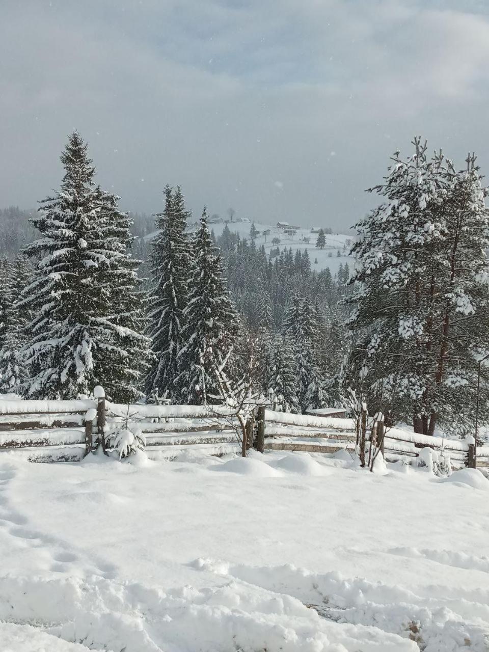Котеджі Зоряне Небо Μπούκοβελ Εξωτερικό φωτογραφία
